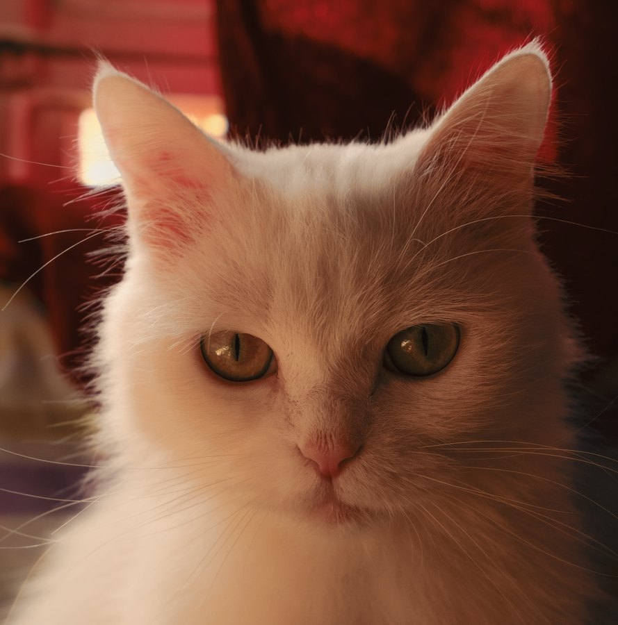 Fuji Astia 100F film emulation preview